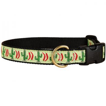 bc-Chili-Pepper-Cactus-Dog-Collar---1-inch