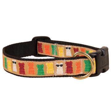 bc-Gummi-Bears-Dog-Collar---1-inch