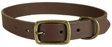 bc-Leather-Dog-Collar---1-inch