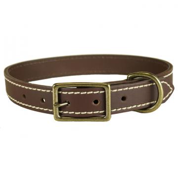 bc-Leather-Dog-Collar-white-stitching-1-inch