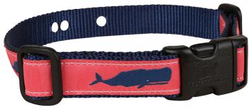 bc-Moby-Whale-Underground-Fence-Dog-Collar-Coral-1inch