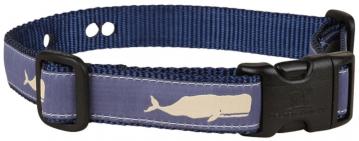 bc-Moby-Whale-Underground-Fence-Dog-Collar-blue-1inch