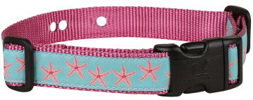 Starfish Containment Underground Dog Collar - Aqua -1-inch