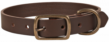 bc-dog-collar-brown-leather-1-inch