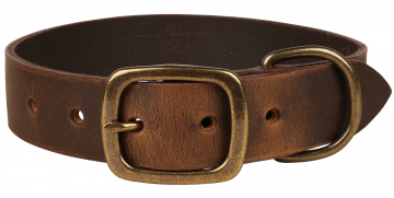 bc-dog-collar-distressed-leather-1_25-inch-folklore