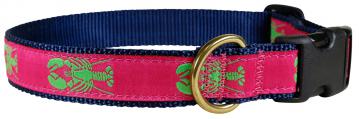 bc-dog-collar-lobster-lime-and-raspberry-1.jpg