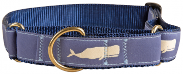 bc-martingale-ribbon-dog-collar-moby-whale-blue-1-inch