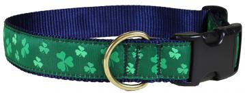bc-ribbon-dog-collar-shamrock-1-25