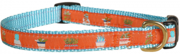 bc-ribbon-dog-collar-succulents-58-inch