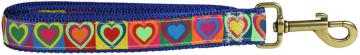 bc-ribbon-dog-leash-hearts-1-inch-1