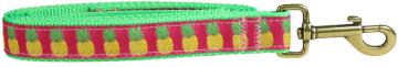 bc-ribbon-dog-leash-pinapple-1-inch