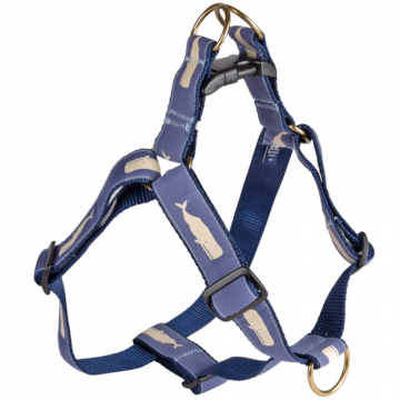 bc-step-in-ribbon-dog-harness-moby-whale-blue-1-25-inch