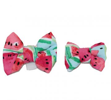 dog-bow-tie-watermelon-1