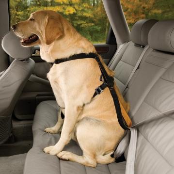 kg-dog-car-safety-harness-1.jpg