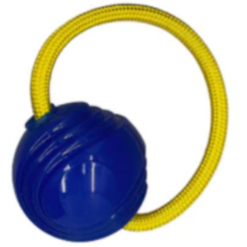 lnl-dog-fetch-toy-blueberry-blue-dog-ball