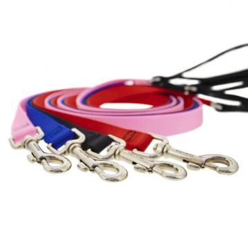 lp-dog-leash-nylon-1