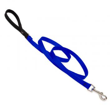 lp-dog-leash-nylon-blue