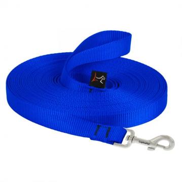 lp-dog-leash-training-blue