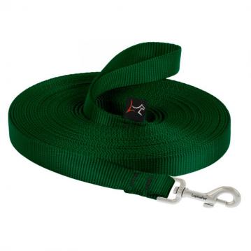 lp-dog-leash-training-green