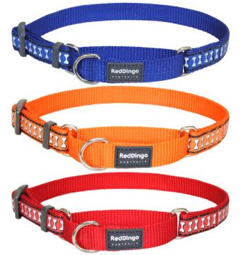 rd-reflective-martingale-dog-collar.jpg