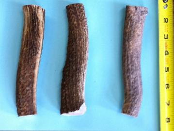 rmac-elk-antler-dog-chews-large-1.jpg