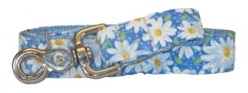 uc-dog-dog-leash-daisies-blue-1.jpg