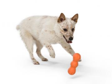 wp-dog-chew-toy-rumpus-3