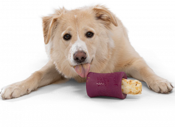 wp-dog-treat-toy-funnl-1