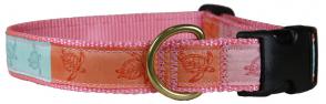 Sea Turtles - 1-inch Ribbon Dog Collar