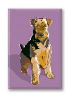 Airedale