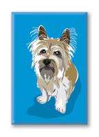 Cairn Terrier