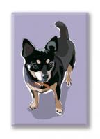 Chihuahua (3 Magnets)