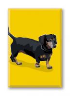 Dachshund (4 Magnets)