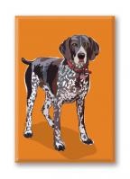 German Shorthaired Pointer