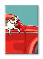 Jack Russell Terrier (5 Magnets)