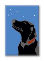 Labrador Retriever (15 Magnets)