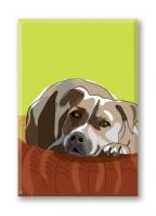 Pit Bull (3 Magnets)