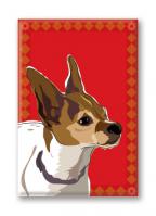 Rat Terrier