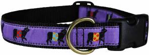Beltie Cow (Purple) - 1-inch Ribbon Dog Collar