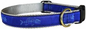 Rogue Fish (Blue) - 1-inch Ribbon Dog Collar