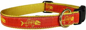 Rogue Fish (Tangerine) - 1-inch Ribbon Dog Collar