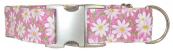 Daisies Dog Collar - Pink