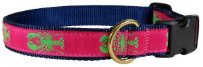 Lobster (Lime & Raspberry) - Ribbon Dog Collar