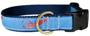 Squid - 1-inch Ribbon Dog Collar