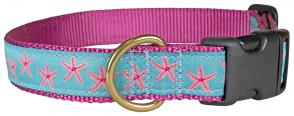 Starfish (Aqua & Pink) - Ribbon Dog Collar