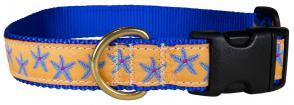 Starfish (Blue & Yellow) 1-inch Ribbon Dog Collar