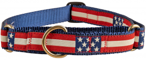 Retro US Flag - Martingale 1-inch Ribbon Dog Collar