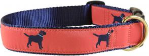 Nantucket Labs - 1.25-inch Ribbon Dog Collar