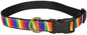 Rainbow - 1-inch Ribbon Dog Collar
