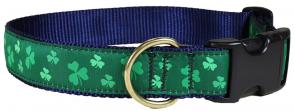 Shamrock - 1.25-inch Ribbon Dog Collar